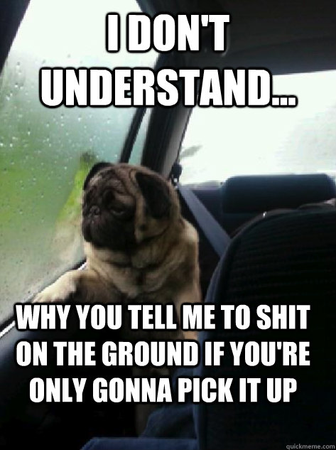 I don't understand... why you tell me to shit on the ground if you're only gonna pick it up  Introspective Pug