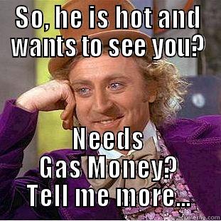 SO, HE IS HOT AND WANTS TO SEE YOU? NEEDS GAS MONEY? TELL ME MORE... Condescending Wonka