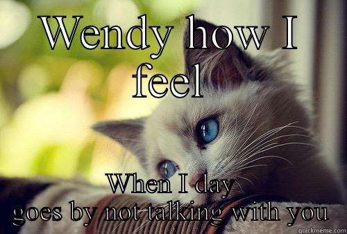 WENDY HOW I FEEL WHEN I DAY GOES BY NOT TALKING WITH YOU First World Problems Cat