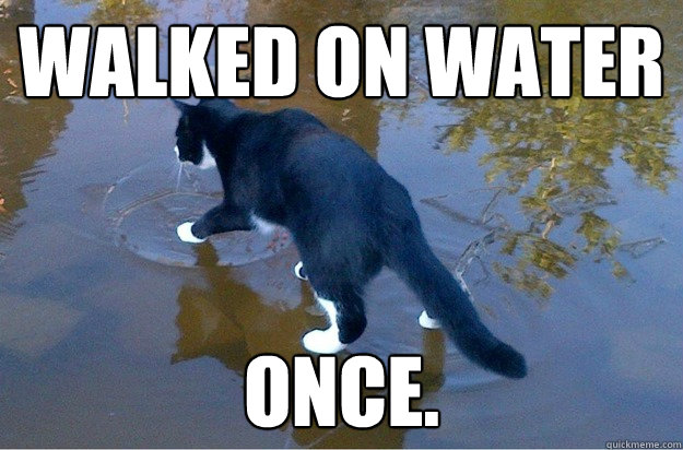 Walked on water once.  Jesus Cat