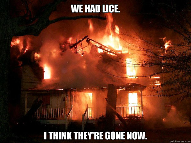 We had Lice. I think they're gone now.  set fire to the rain