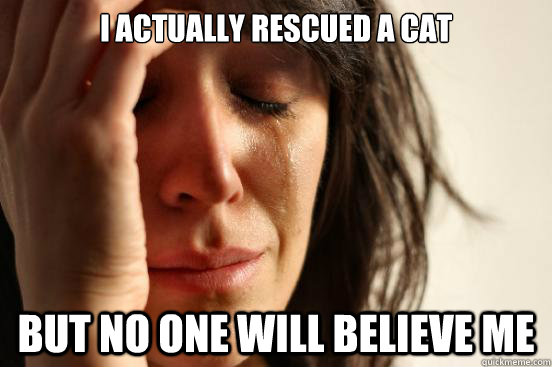 I actually rescued a cat but no one will believe me  First World Problems