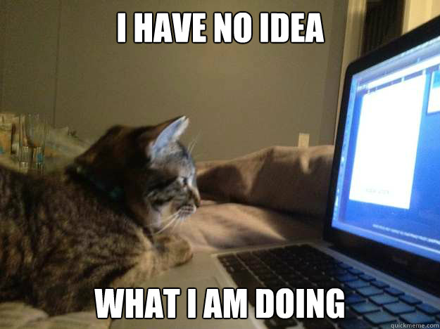 I Have no idea What I am doing - I Have no idea What I am doing  IT Cat