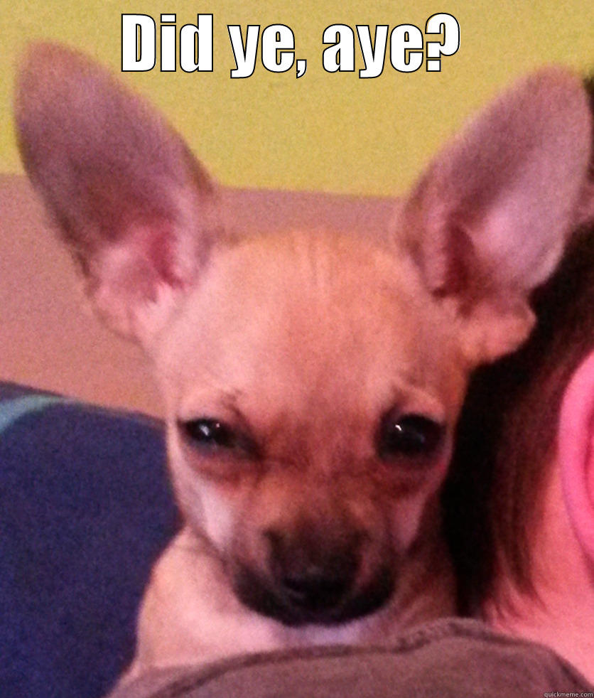 DID YE, AYE?  Misc