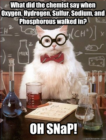 What did the chemist say when Oxygen, Hydrogen, Sulfur, Sodium, and Phosphorous walked in? OH SNaP!  Chemistry Cat