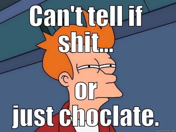 CAN'T TELL IF SHIT... OR JUST CHOCLATE. Futurama Fry