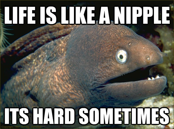 life is like a nipple its hard sometimes - life is like a nipple its hard sometimes  Bad Joke Eel