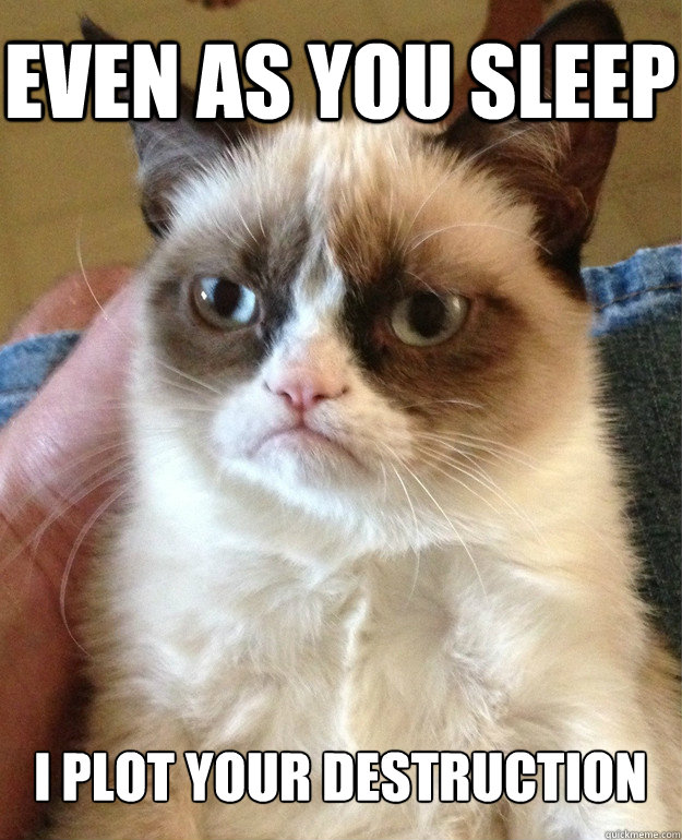 Even as you sleep 

I plot your destruction  Grumpy Cat