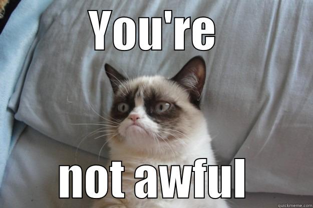 YOU'RE NOT AWFUL Grumpy Cat