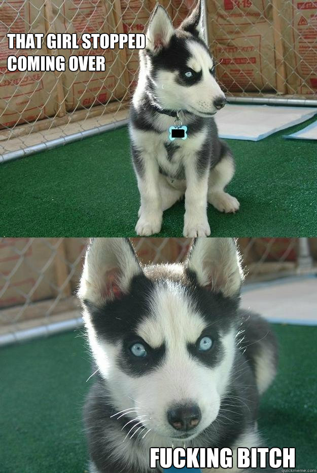 that girl stopped coming over fucking bitch  Insanity puppy