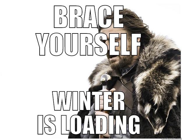BRACE YOURSELF WINTER IS LOADING Imminent Ned