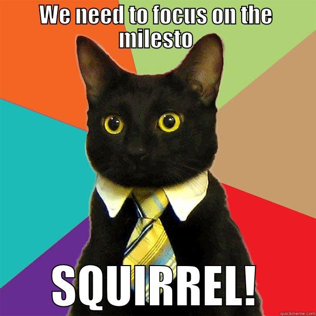 WE NEED TO FOCUS ON THE MILESTO SQUIRREL! Business Cat