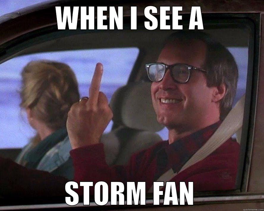 WHEN I SEE A STORM FAN Misc