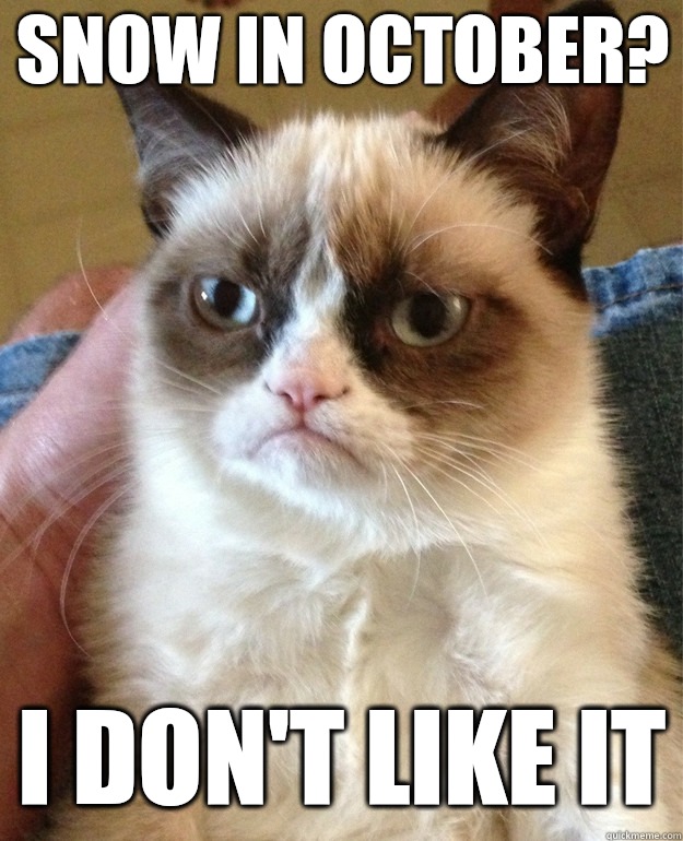 Snow in October? I don't like it  Grumpy Cat