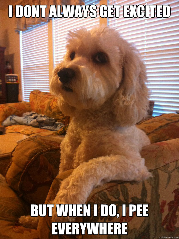 I dont always get excited But when i do, I pee everywhere  The Most Interesting Dog in the World