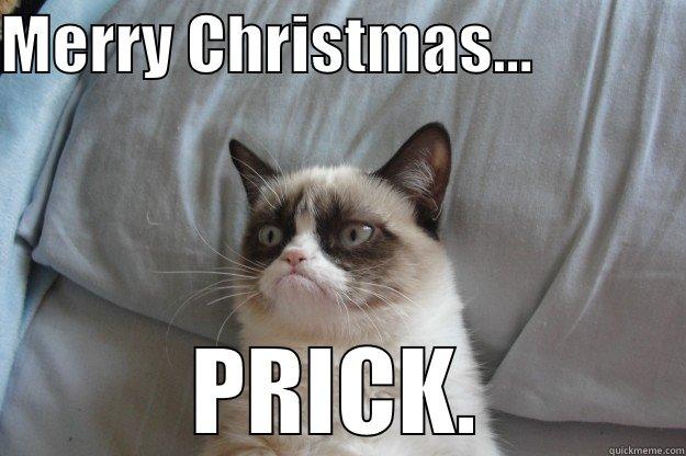 MERRY CHRISTMAS...             PRICK. Grumpy Cat