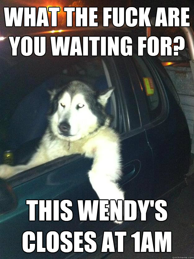what the fuck are you waiting for? this wendy's closes at 1am - what the fuck are you waiting for? this wendy's closes at 1am  Mean Dog