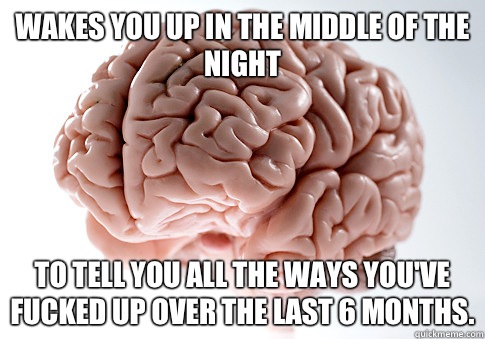 Wakes you up in the middle of the night To tell you all the ways you've fucked up over the last 6 months.  Scumbag Brain