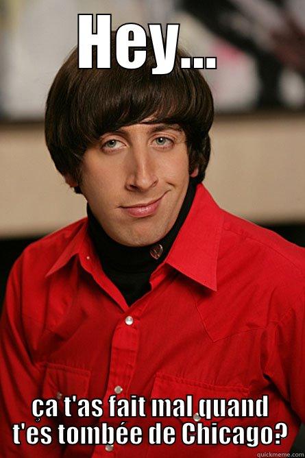 HEY... ÇA T'AS FAIT MAL QUAND T'ES TOMBÉE DE CHICAGO? Pickup Line Scientist