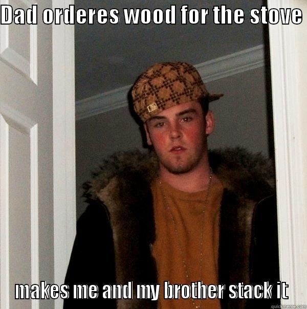scumbag dad - DAD ORDERES WOOD FOR THE STOVE  MAKES ME AND MY BROTHER STACK IT Scumbag Steve