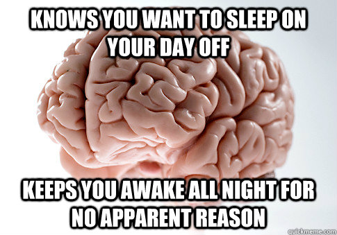 Knows you want to sleep on your day off keeps you awake all night for no apparent reason - Knows you want to sleep on your day off keeps you awake all night for no apparent reason  Scumbag Brain