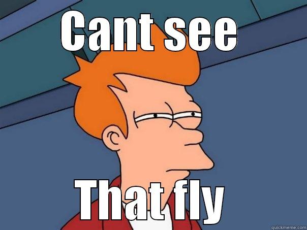 CANT SEE THAT FLY Futurama Fry