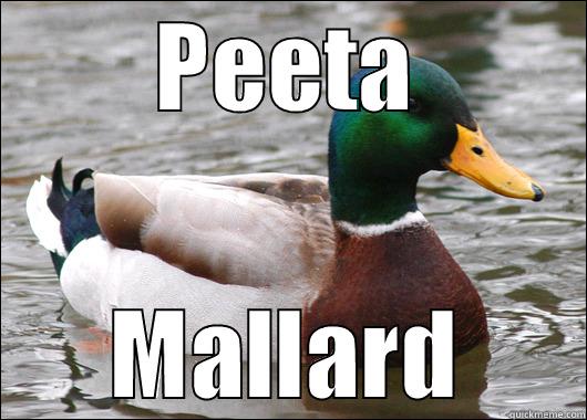 PEETA MALLARD Actual Advice Mallard