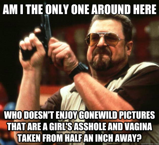 Am I the only one around here who doesn't enjoy gonewild pictures that are a girl's asshole and vagina taken from half an inch away?  Big Lebowski