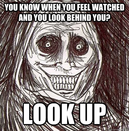 You know when you feel watched and you look behind you? Look up  Horrifying Houseguest