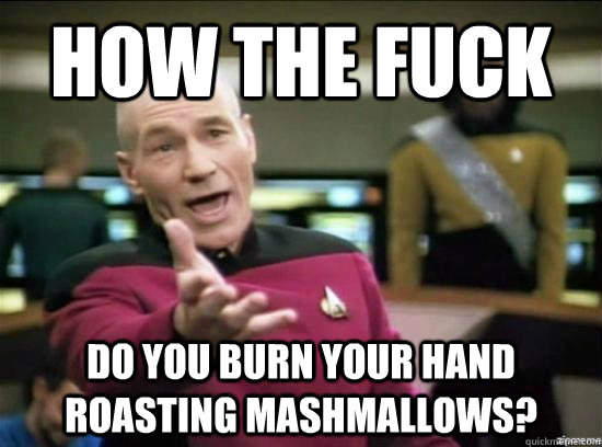 How the fuck do you burn your hand roasting mashmallows?  Annoyed Picard HD