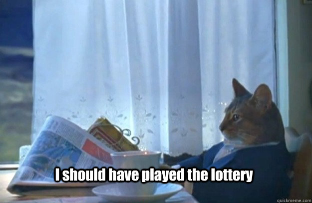 I should have played the lottery - I should have played the lottery  Sophisticated Cat