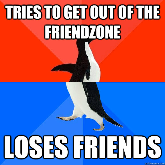tries to get out of the friendzone loses friends  Socially Awesome Awkward Penguin