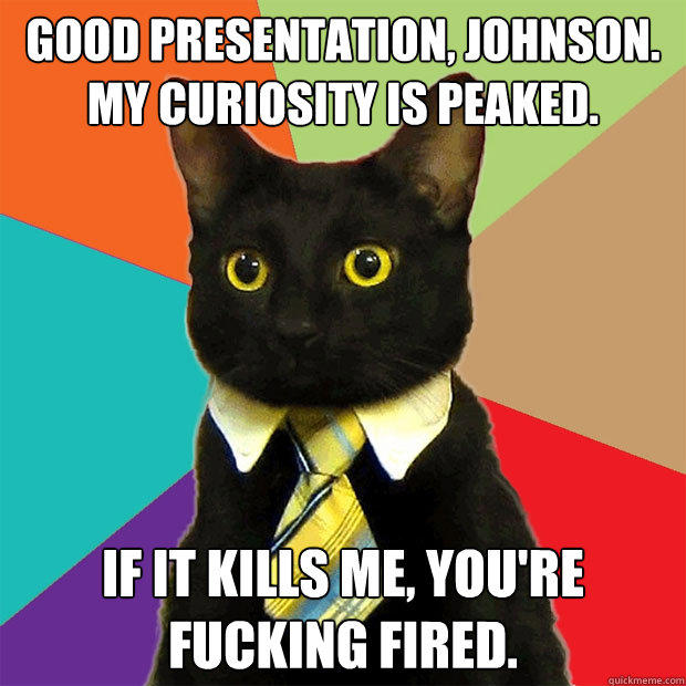 Good presentation, Johnson.  My curiosity is peaked. If it kills me, you're fucking fired.  Business Cat