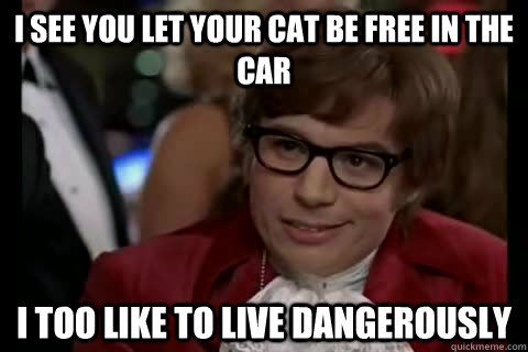 I see you let your cat be free in the car i too like to live dangerously - I see you let your cat be free in the car i too like to live dangerously  Dangerously - Austin Powers