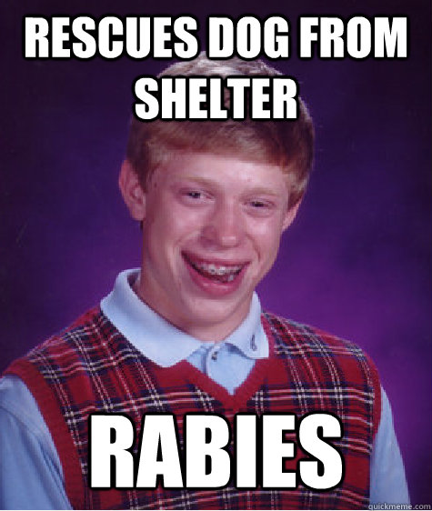 Rescues Dog from shelter Rabies - Rescues Dog from shelter Rabies  Bad Luck Brian
