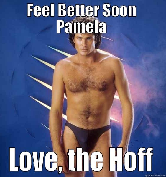 FEEL BETTER SOON PAMELA LOVE, THE HOFF Misc