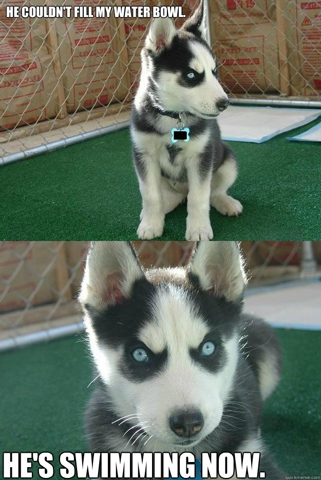 He couldn't fill my water bowl. He's swimming now.  Insanity puppy