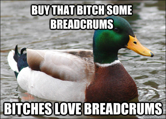buy that bitch some breadcrums bitches love breadcrums  Actual Advice Mallard