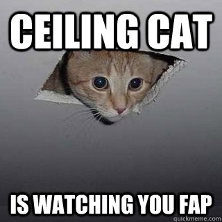 ceiling cat is watching you fap  