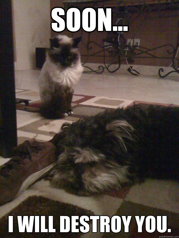 fallout new vegas dog or god fallout new vegas dog or god