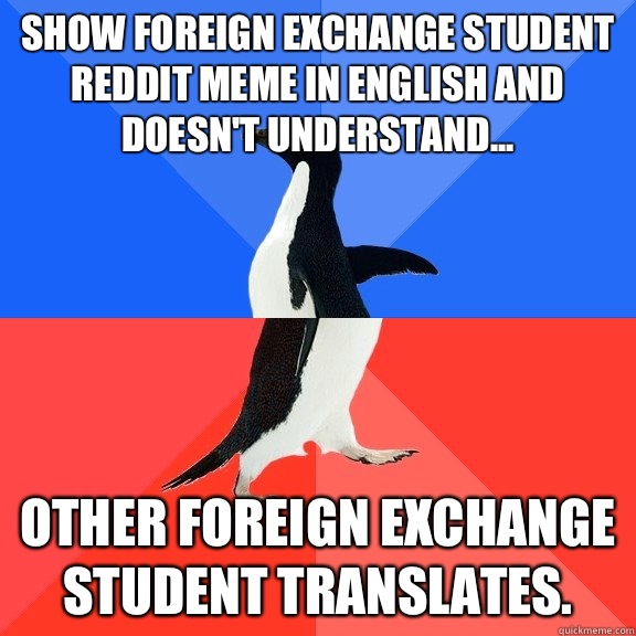 Show foreign exchange student Reddit meme in English and doesn't understand... Other foreign exchange student translates.  - Show foreign exchange student Reddit meme in English and doesn't understand... Other foreign exchange student translates.   Socially Awkward Awesome Penguin