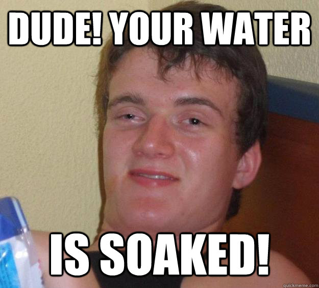 DUDE! your water is soaked! - DUDE! your water is soaked!  10 Guy
