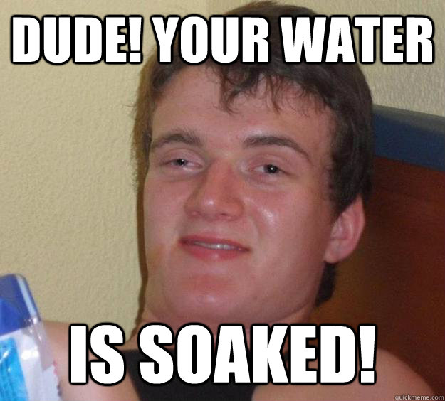 DUDE! your water is soaked!  10 Guy