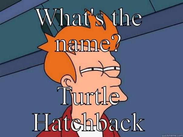 WHAT'S THE NAME? TURTLE HATCHBACK Futurama Fry