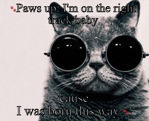 Gaga kitteh -  'CAUSE I WAS BORN THIS WAY  Morpheus Cat Facts