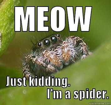 MEOW JUST KIDDING.                                     I'M A SPIDER. Misunderstood Spider