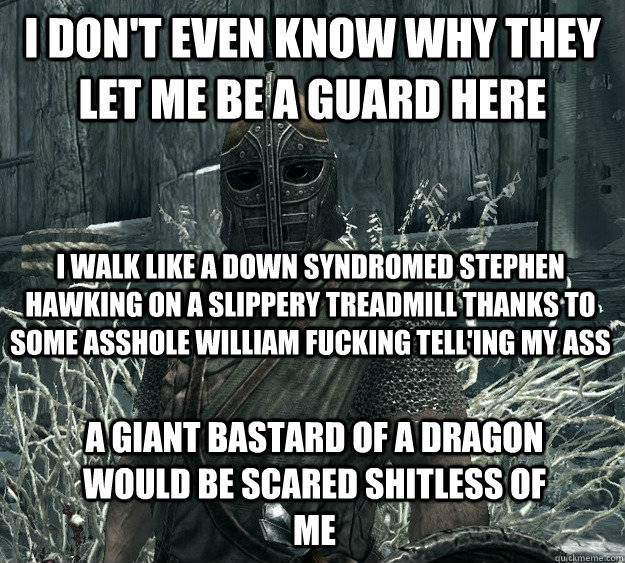 I don't even know why they let me be a guard here I walk like a down syndromed Stephen Hawking on a slippery treadmill thanks to some asshole William fucking Tell'ing my ass  A giant bastard of a dragon would be scared shitless of me  Skyrim Guard