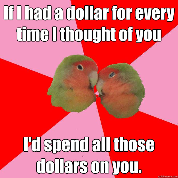 If I had a dollar for every time I thought of you I'd spend all those dollars on you.  Annoying Lovebirds