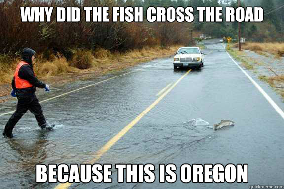 WHY DID THE FISH CROSS THE ROAD because this is oregon  