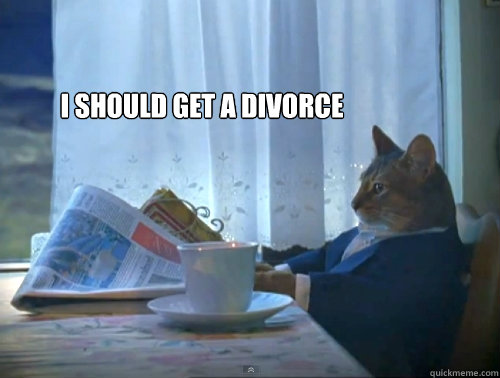 I should get a divorce   The One Percent Cat